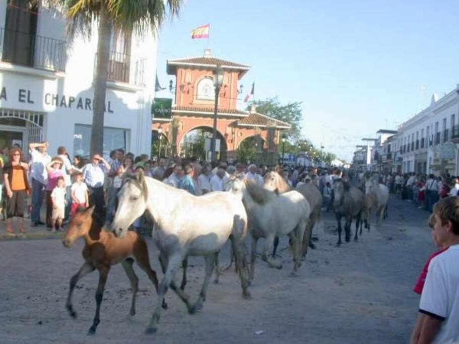 Casa La Rocina Almonte Villa Esterno foto